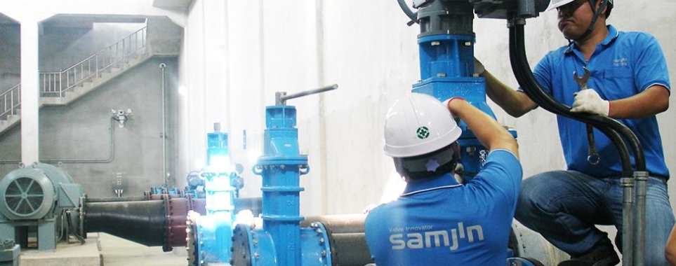 Corrosion Prevention Gate Valve - SamJin Precision Co.,Ltd